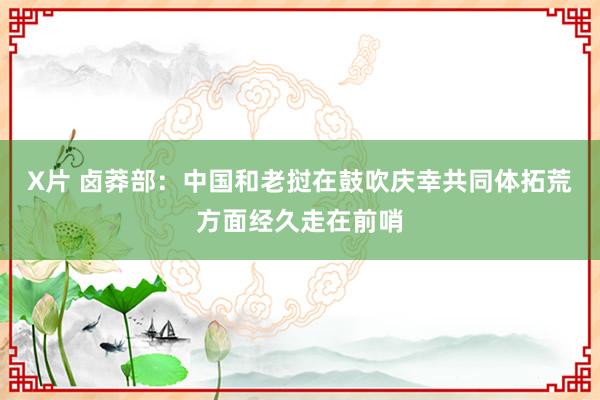 X片 卤莽部：中国和老挝在鼓吹庆幸共同体拓荒方面经久走在前哨