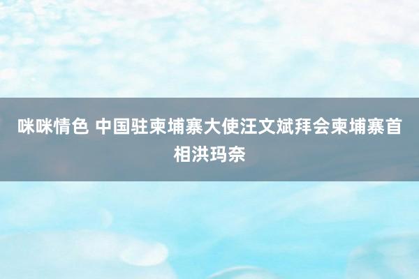 咪咪情色 中国驻柬埔寨大使汪文斌拜会柬埔寨首相洪玛奈