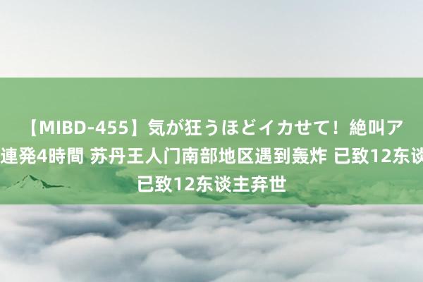 【MIBD-455】気が狂うほどイカせて！絶叫アクメ50連発4時間 苏丹王人门南部地区遇到轰炸 已致12东谈主弃世