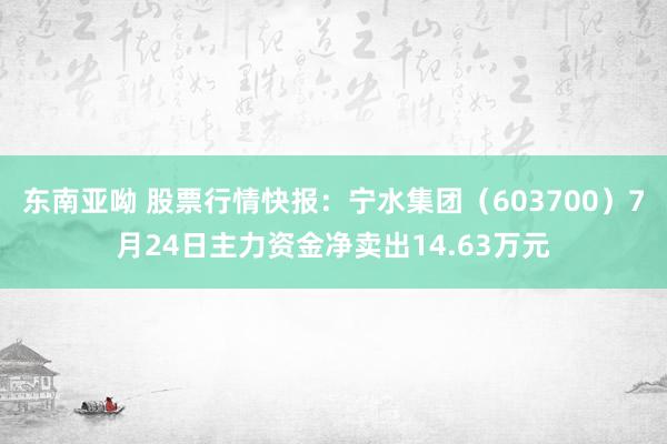 东南亚呦 股票行情快报：宁水集团（603700）7月24日主力资金净卖出14.63万元