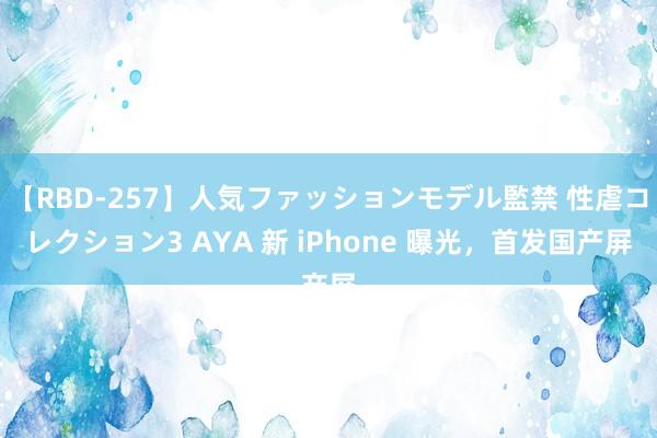 【RBD-257】人気ファッションモデル監禁 性虐コレクション3 AYA 新 iPhone 曝光，首发国产屏