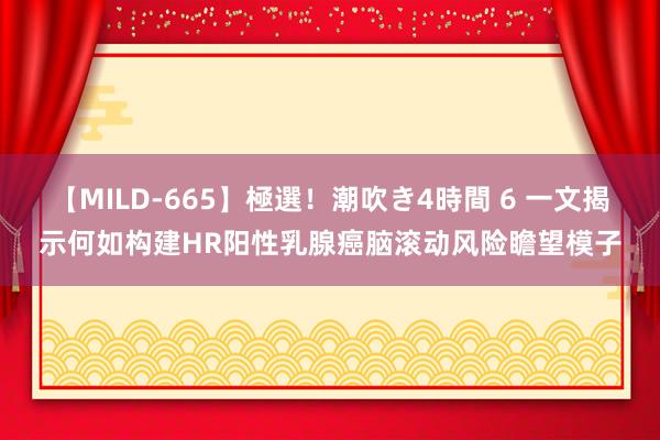 【MILD-665】極選！潮吹き4時間 6 一文揭示何如构建HR阳性乳腺癌脑滚动风险瞻望模子