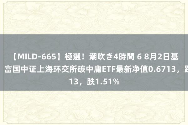 【MILD-665】極選！潮吹き4時間 6 8月2日基金净值：富国中证上海环交所碳中庸ETF最新净值0.6713，跌1.51%