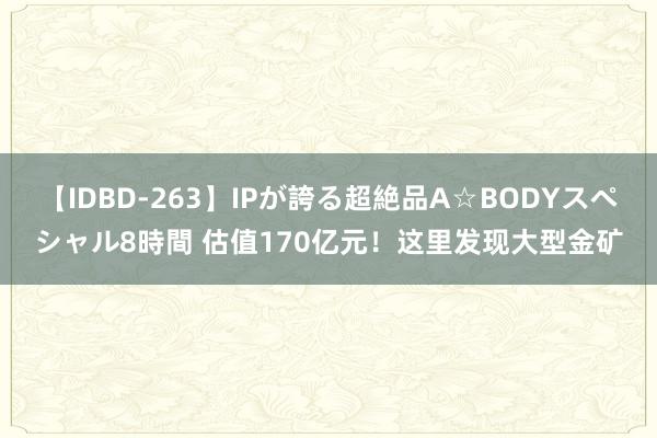 【IDBD-263】IPが誇る超絶品A☆BODYスペシャル8時間 估值170亿元！这里发现大型金矿