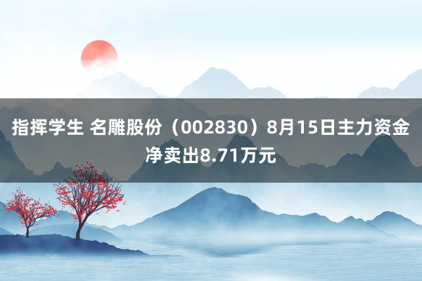 指挥学生 名雕股份（002830）8月15日主力资金净卖出8.71万元