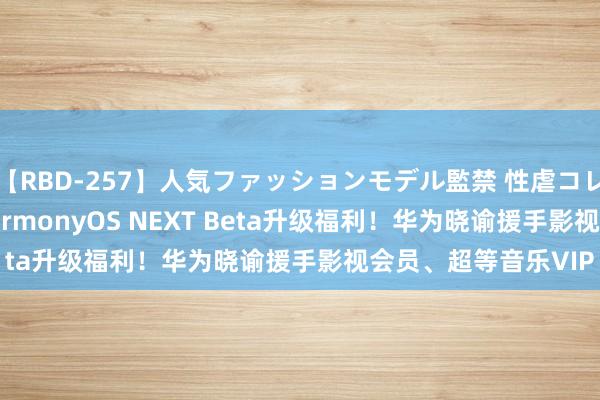 【RBD-257】人気ファッションモデル監禁 性虐コレクション3 AYA HarmonyOS NEXT Beta升级福利！华为晓谕援手影视会员、超等音乐VIP