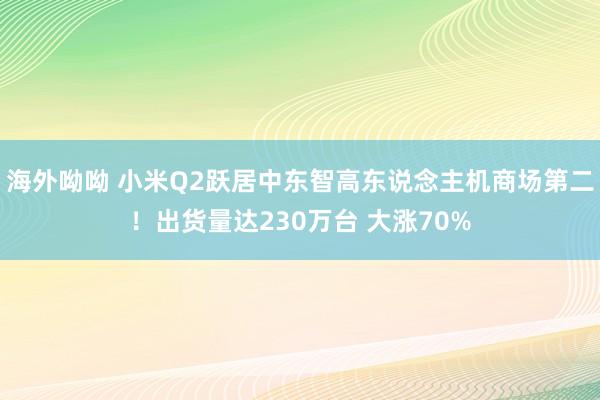 海外呦呦 小米Q2跃居中东智高东说念主机商场第二！出货量达230万台 大涨70%