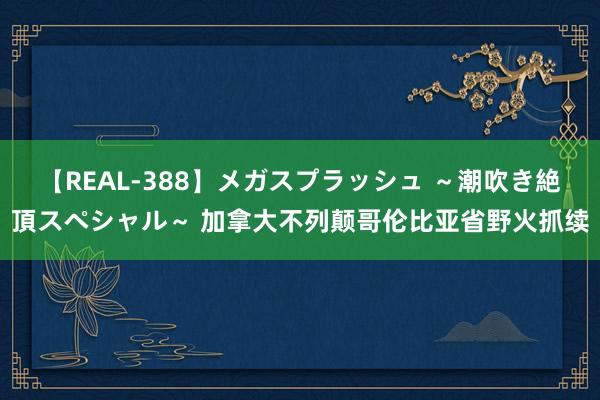 【REAL-388】メガスプラッシュ ～潮吹き絶頂スペシャル～ 加拿大不列颠哥伦比亚省野火抓续