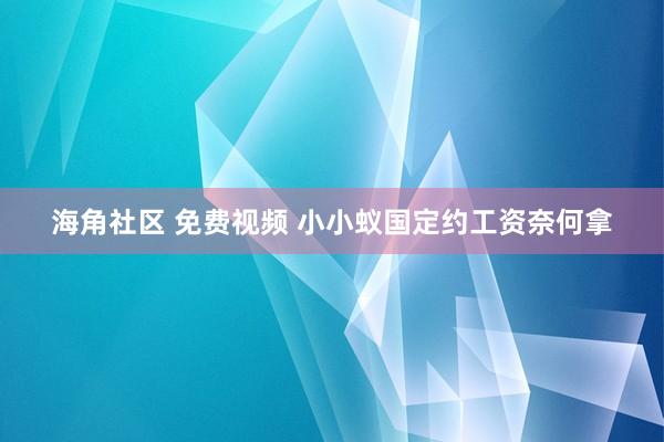 海角社区 免费视频 小小蚁国定约工资奈何拿