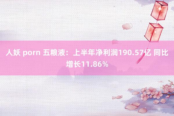 人妖 porn 五粮液：上半年净利润190.57亿 同比增长11.86%