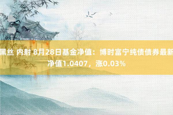 黑丝 内射 8月28日基金净值：博时富宁纯债债券最新净值1.0407，涨0.03%