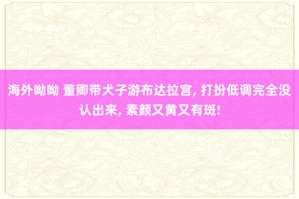 海外呦呦 董卿带犬子游布达拉宫， 打扮低调完全没认出来， 素颜又黄又有斑!