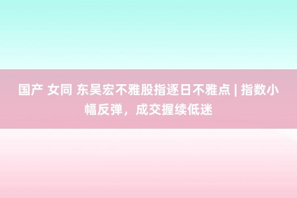 国产 女同 东吴宏不雅股指逐日不雅点 | 指数小幅反弹，成交握续低迷