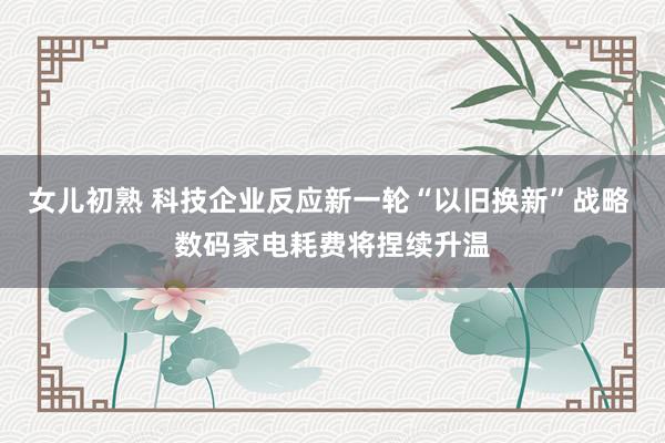 女儿初熟 科技企业反应新一轮“以旧换新”战略 数码家电耗费将捏续升温