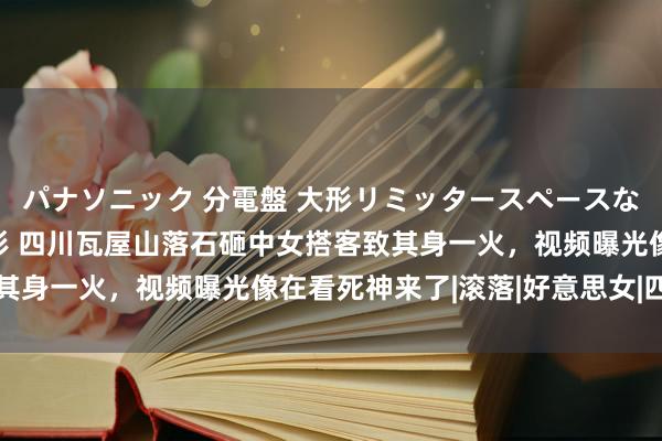 パナソニック 分電盤 大形リミッタースペースなし 露出・半埋込両用形 四川瓦屋山落石砸中女搭客致其身一火，视频曝光像在看死神来了|滚落|好意思女|四川省