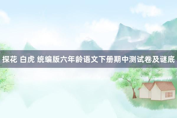 探花 白虎 统编版六年龄语文下册期中测试卷及谜底